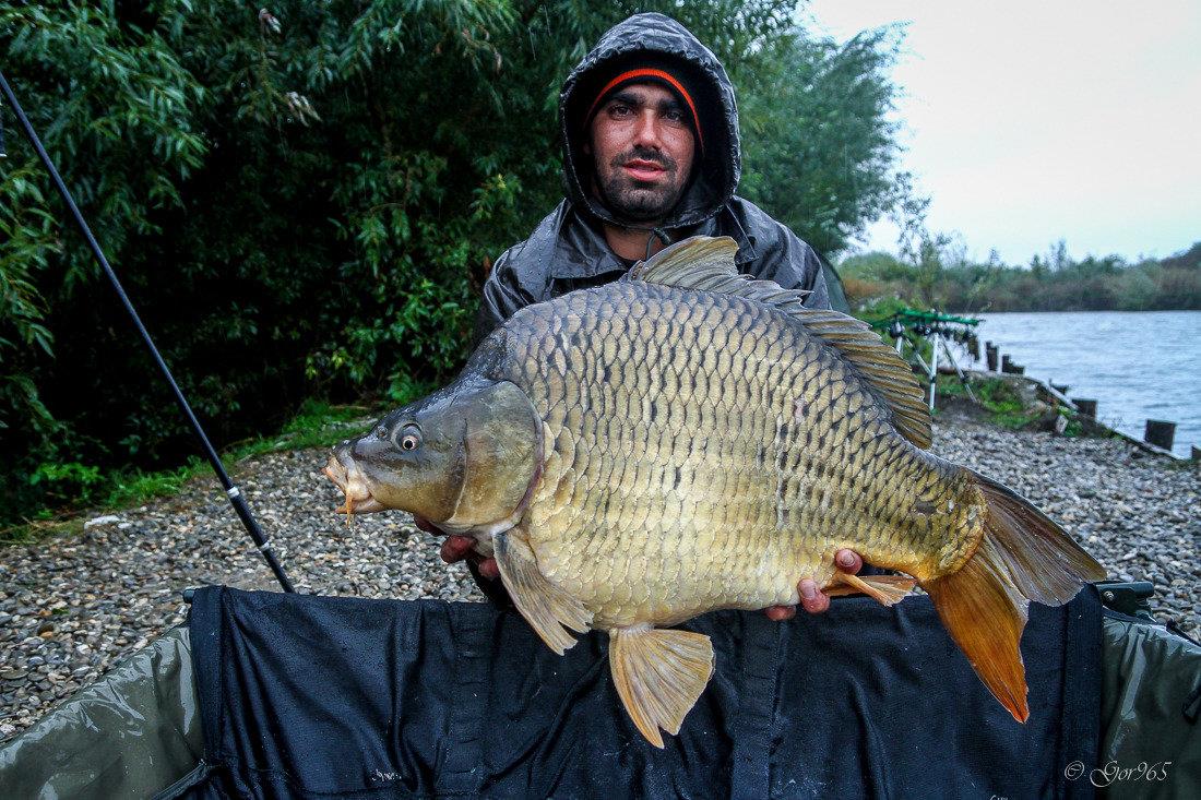 Cupa Toamnei !  8 - 11 octombrie 2015 - gor4863.jpg